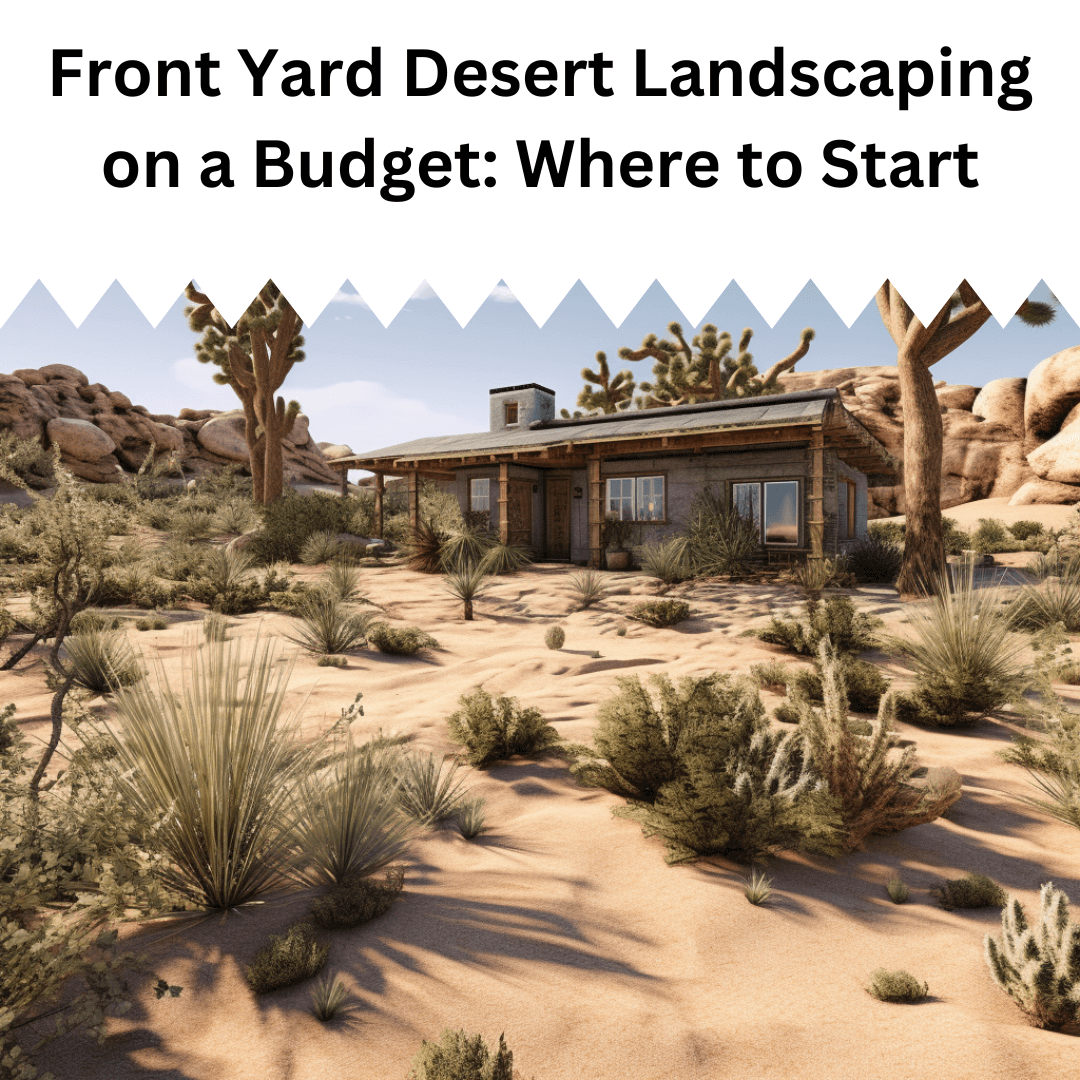 Creating a front yard desert landscaping on budget